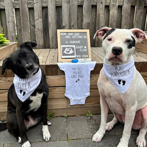 Blank Dog Bandanas Medium-1PCS, DIY Solid White Triangle Scarf Premium Cotton Ha - Picture 4 of 8